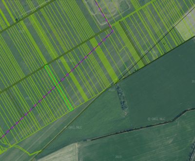 Sale Agrarian and forest land, Agrarian and forest land, Skalica, Slov