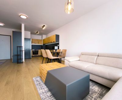 Rent One bedroom apartment, One bedroom apartment, Na Majerisku, Malac