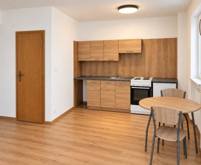 Sale Single studio, Single studio, Pezinská, Malacky, Slovakia