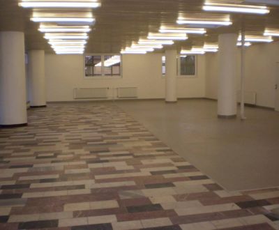 Rent Commercial premises, Commercial premises, Centrum, Martin, Slovak