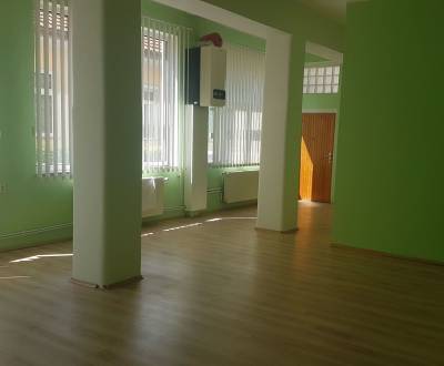 Offices, Winterova, Rent, Piešťany, Slovakia