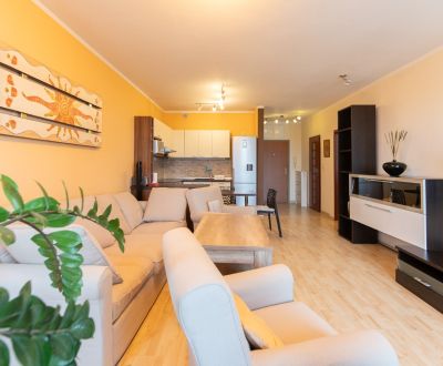 Rent One bedroom apartment, One bedroom apartment