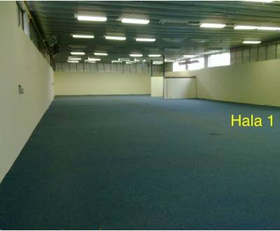 Rent Commercial premises, Obchodná, Piešťany, Slovakia