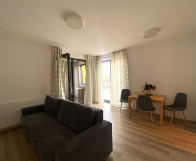 2-bedroom modern apartment for rent with garage, terrace