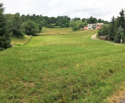 Sale Land – for living, Detva, Slovakia