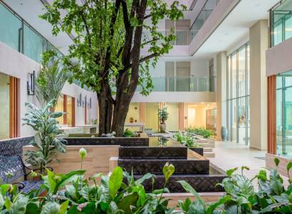 Bright interior with plants and an indoor courtyard, apartment construction.