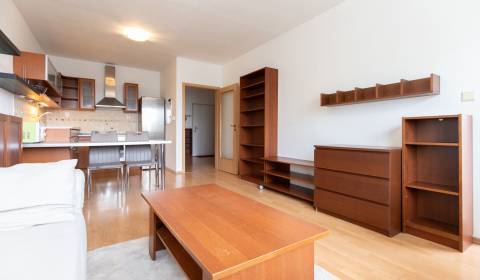 Furnished 1-bdrm apartment in Bratislava for rent
