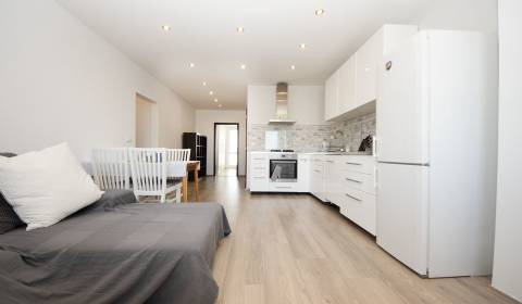METROPOLITAN Fully renovated 2-bdrm apartment in Bratislava for rent