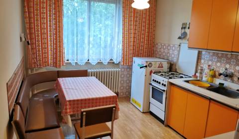 Family house, Kochová, Sale, Nitra, Slovakia