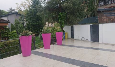 Rent Three bedroom apartment, Three bedroom apartment, Matúšová, Brati