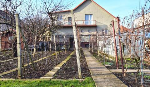 Family house, A.Sládkoviča, Sale, Senec, Slovakia