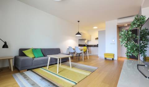 Rent One bedroom apartment, One bedroom apartment, Landererova, Bratis