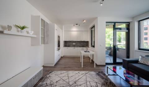 One bedroom apartment, Žižkova, Rent, Bratislava - Staré Mesto, Slovak