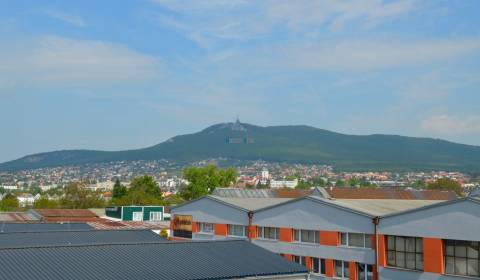 Offices, Levická, Rent, Nitra, Slovakia