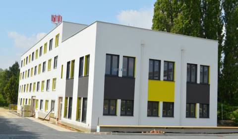 Rent Offices, Levická, Nitra, Slovakia