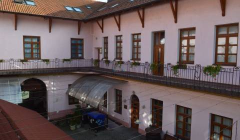 Offices, Farská, Rent, Nitra, Slovakia