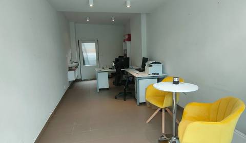 Rent Offices, Offices, Andreja Kmeťa, Žilina, Slovakia