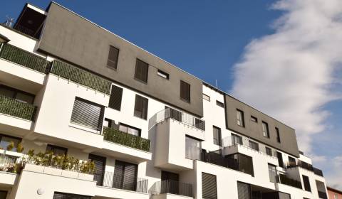 One bedroom apartment, Sládkovičova, Rent, Pezinok, Slovakia
