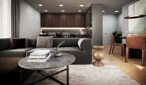 Two-bedroom apartment 2-0.5 in Project VILLA RUSTICA - TERASY II.Stage