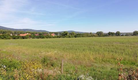 Land – for living, Sale, Pezinok, Slovakia