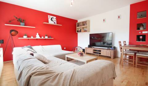 Furnsihed and renovated 1-bdrm apartment 