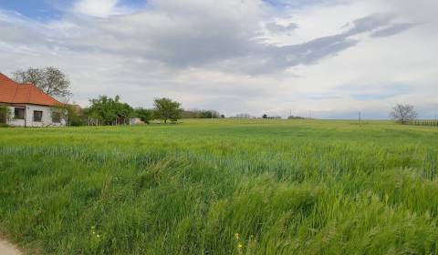 Land – for living, Malé Zálužie, Sale, Nitra, Slovakia