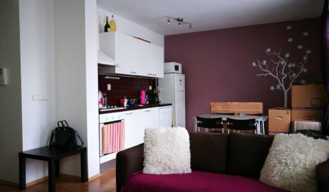 Rent Studio, Studio, Záhradnícka, Bratislava - Ružinov, Slovakia