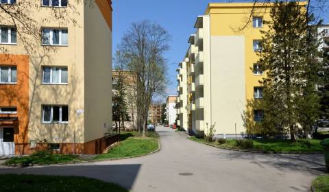 Searching for One bedroom apartment, One bedroom apartment, Puškinova,