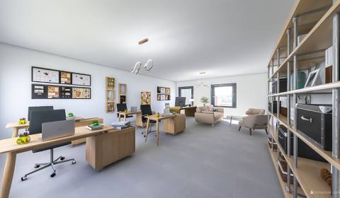 Commercial space, office space and parking spaces-rental