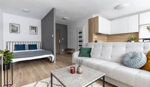 Studio, Popradská cesta, Sale, Košice - Západ, Slovakia