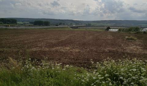 Land – for living, Sale, Košice-okolie, Slovakia