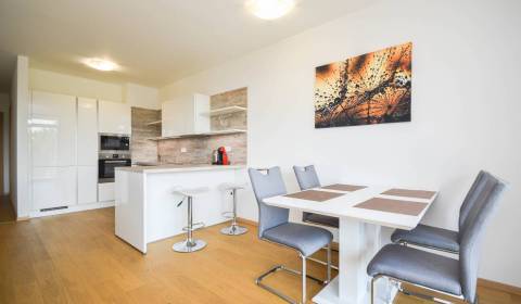 One bedroom apartment, Karloveské rameno, Rent, Bratislava - Karlova V