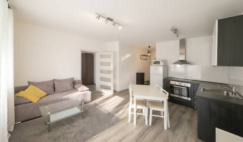 Nice, furnished 1 bdr apt, 48 m2, pet friendly, with balcony