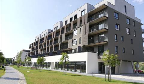 Studio, Fialová, Sale, Bratislava - Petržalka, Slovakia