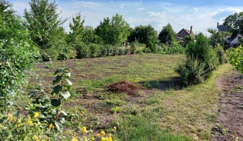 Land – for living, Sale, Šaľa, Slovakia