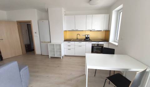 Studio, Kmeťova, Rent, Nitra, Slovakia