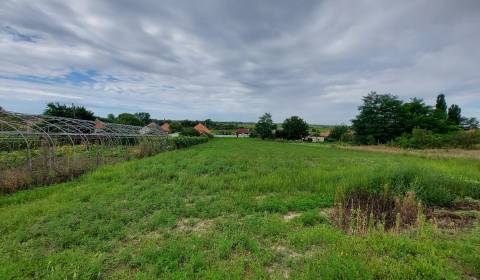 Land – for living, Sale, Komárno, Slovakia
