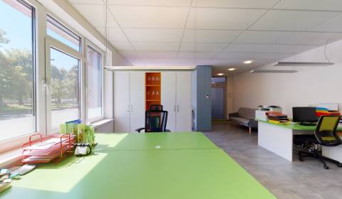 Offices, Vajanskeho, Rent, Bratislava - Staré Mesto, Slovakia