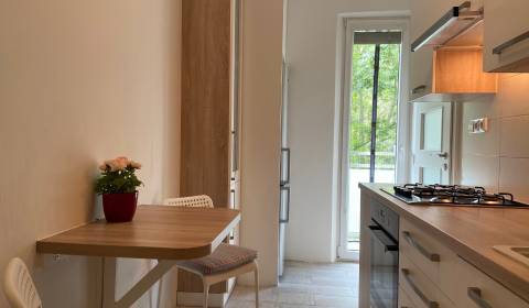 One bedroom apartment, Riazanská, Rent, Bratislava - Nové Mesto, Slova