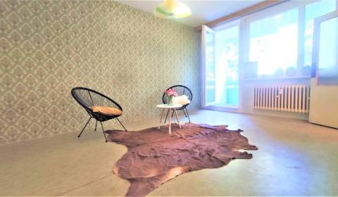 Studio, Sale, Bratislava - Rača, Slovakia