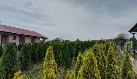 Land – for living, Sale, Nitra, Slovakia