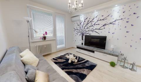 Studio, Bystrická, Sale, Pezinok, Slovakia