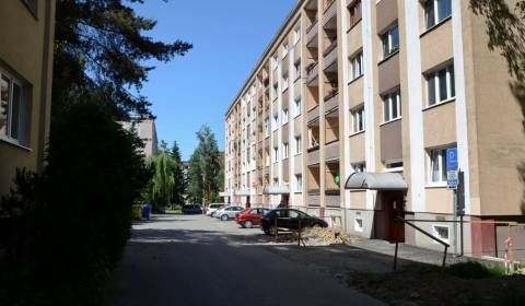 Searching for One bedroom apartment, One bedroom apartment, Čajakova, 