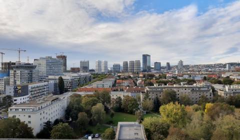 One bedroom apartment, Ružová dolina, Sale, Bratislava - Ružinov, Slov