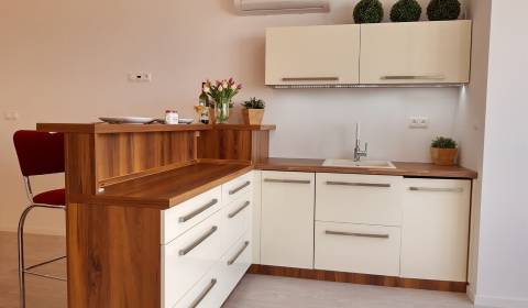One bedroom apartment, Ružová dolina, Sale, Bratislava - Ružinov, Slov