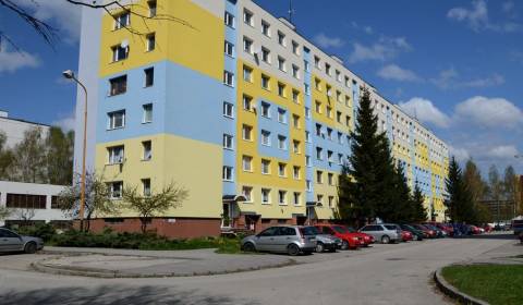 Searching for Three bedroom apartment, Three bedroom apartment, Gaštan