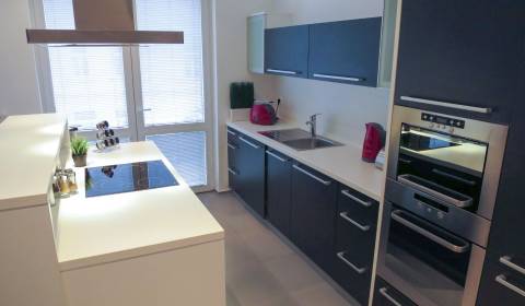 One bedroom apartment, Nedbalova, Rent, Bratislava - Staré Mesto, Slov