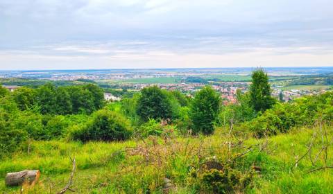 Land – for living, Limbach, Sale, Pezinok, Slovakia