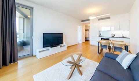 Highstandard 1bdr apt 50m2, with loggia and parking, SKY PARK
