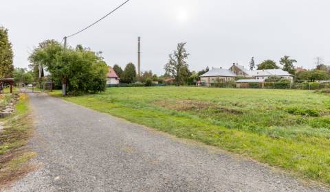Land – for living, Sale, Trebišov, Slovakia